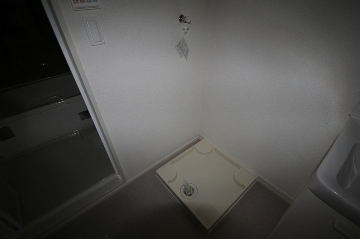 ドウェル ナルシサス0202のその他画像