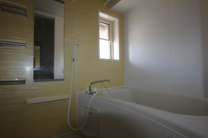 ヴァン・リジェール0201の風呂