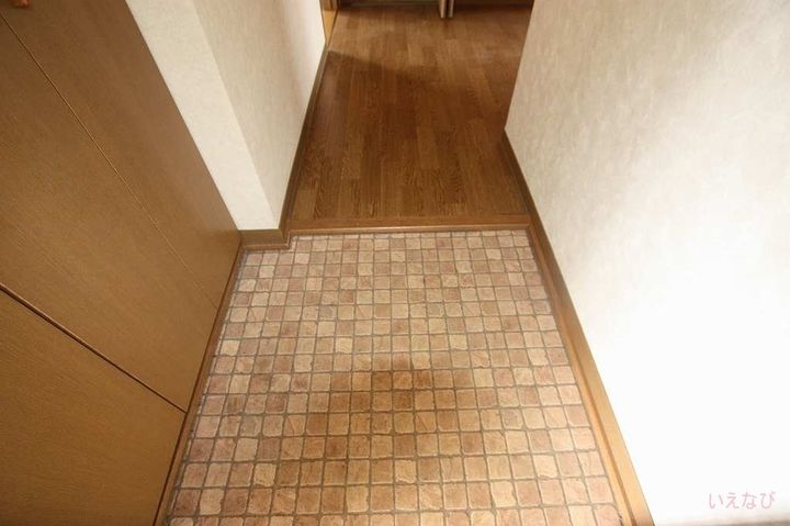 ハイカムール弐番館0102の玄関