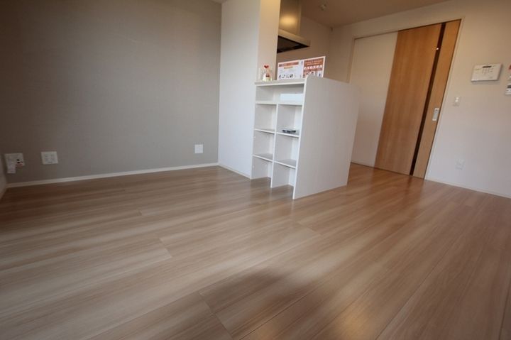 メゾン・ド・キャトルⅤ0208の居間