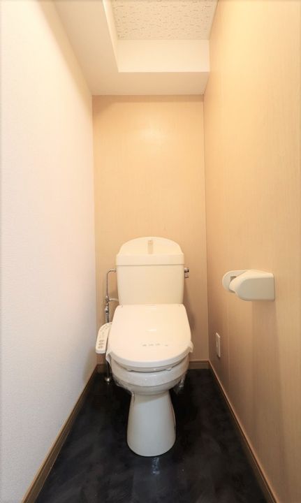 ハイツフレンドもてぎ 爽やかアクセントの壁紙が居室を彩ります ワイドバルコニー付307のその他画像