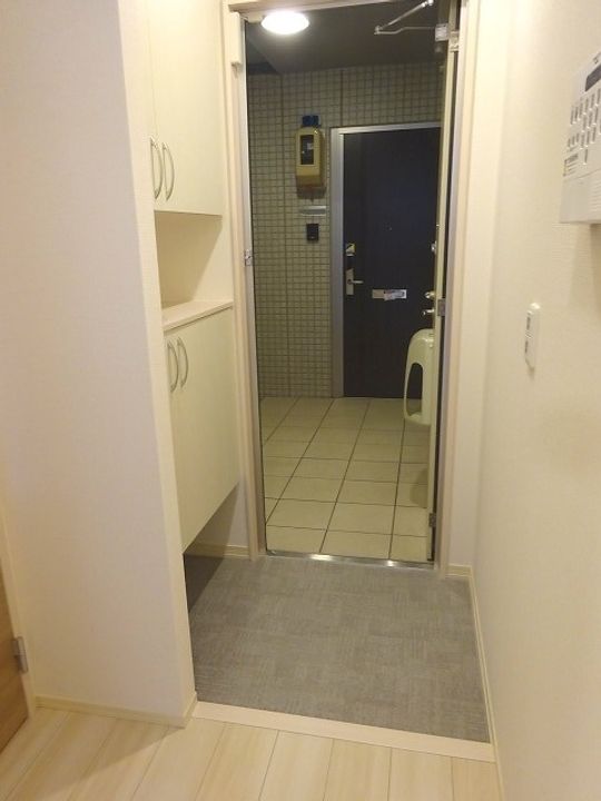 ブレジオ南B102の玄関