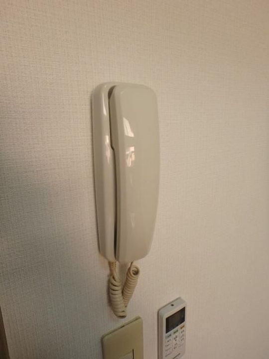 フェリーチェ藤崎103のその他画像