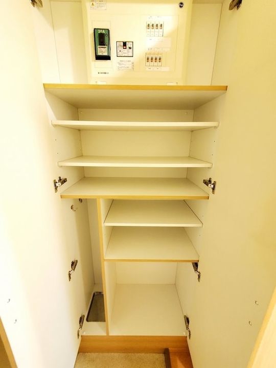 ドミール池袋立教通り216の玄関