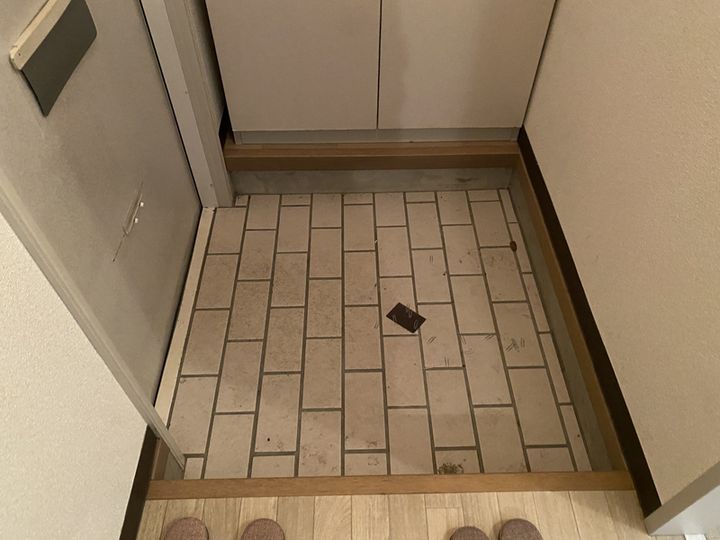 それいゆ弐番館0102の玄関