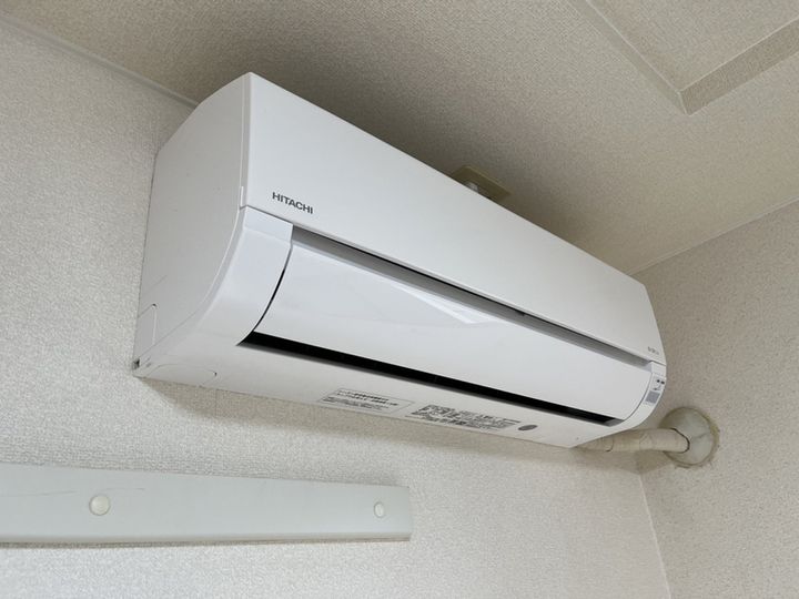 M.ブロッサムのその他画像