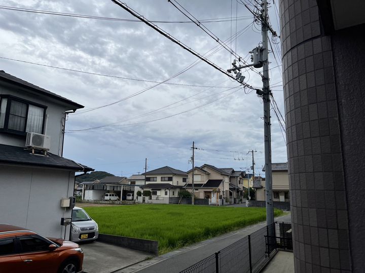 M.ブロッサムのその他画像