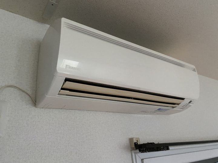 bouleau blancのその他画像