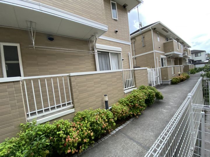 bouleau blancのその他画像