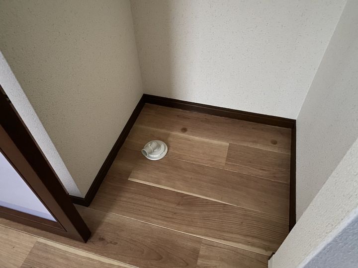 bouleau blancの内装