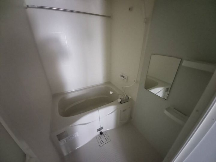 F asecia iliaの風呂