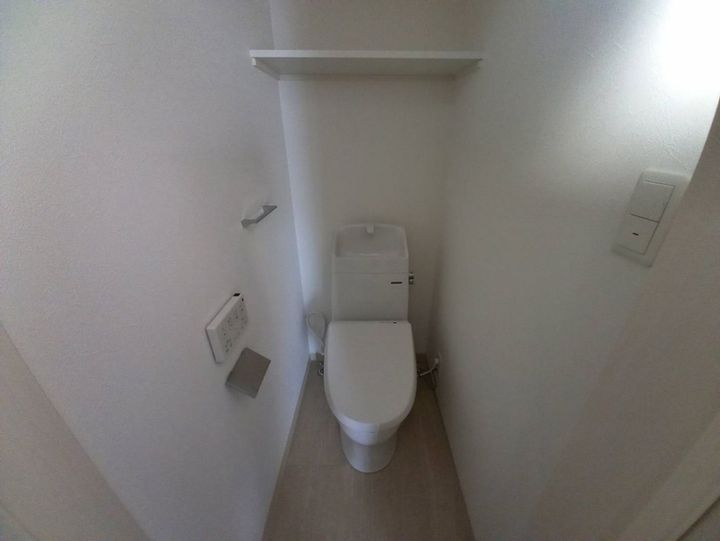 F asecia iliaの内装