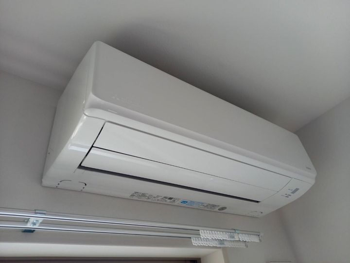 F asecia iliaのその他画像