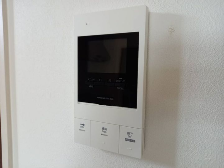 F asecia iliaのその他画像