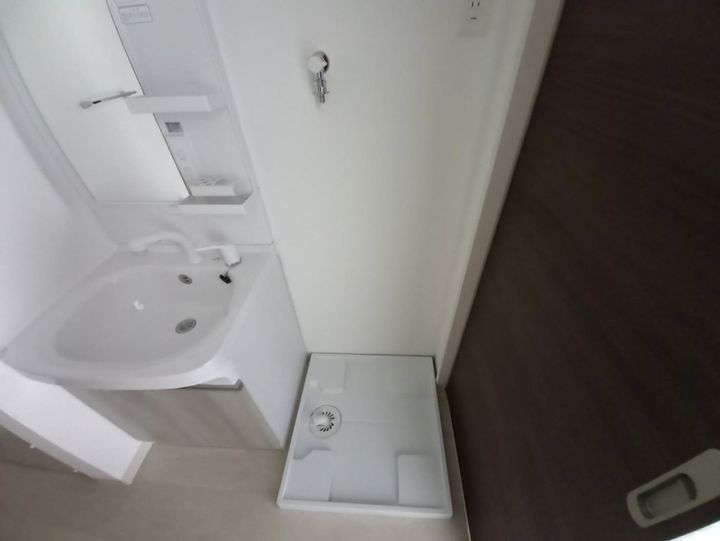 F asecia iliaのその他画像