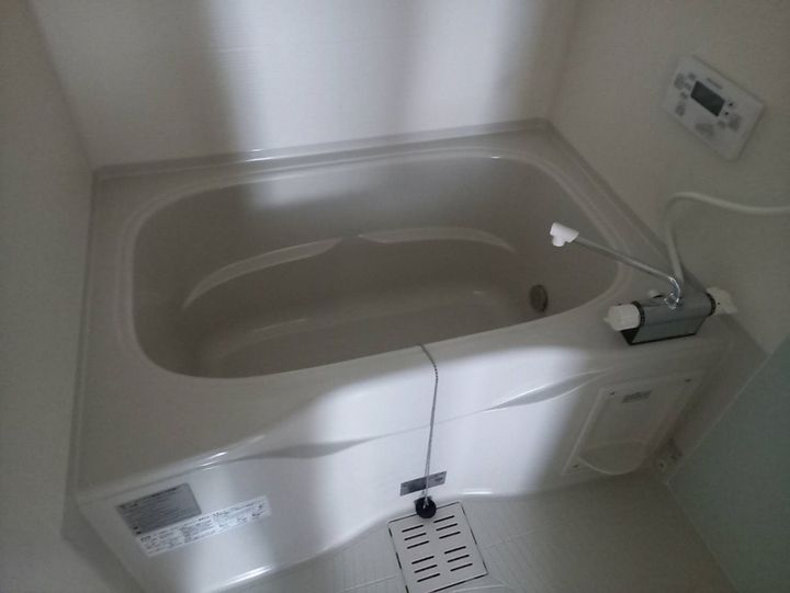 F asecia iliaの風呂