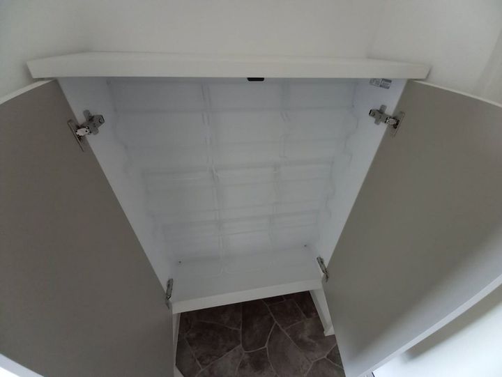 F asecia iliaのその他画像