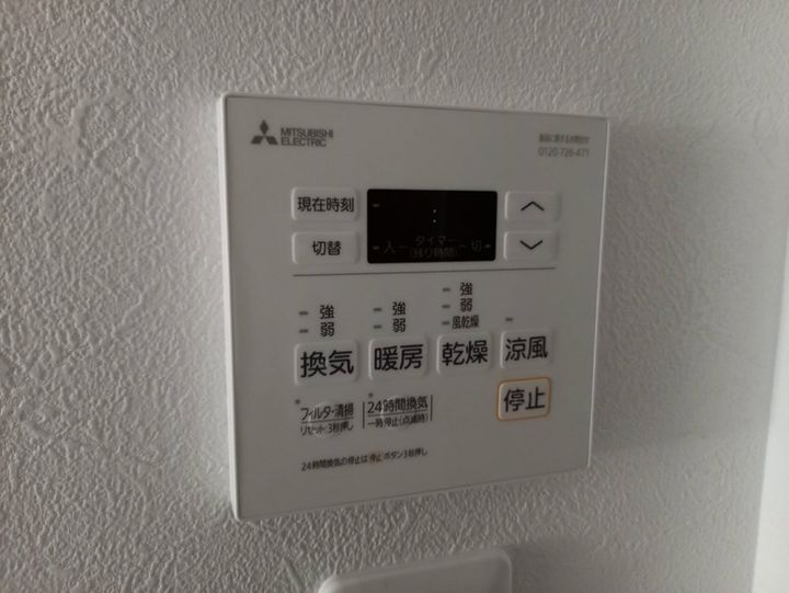 F asecia iliaのその他画像