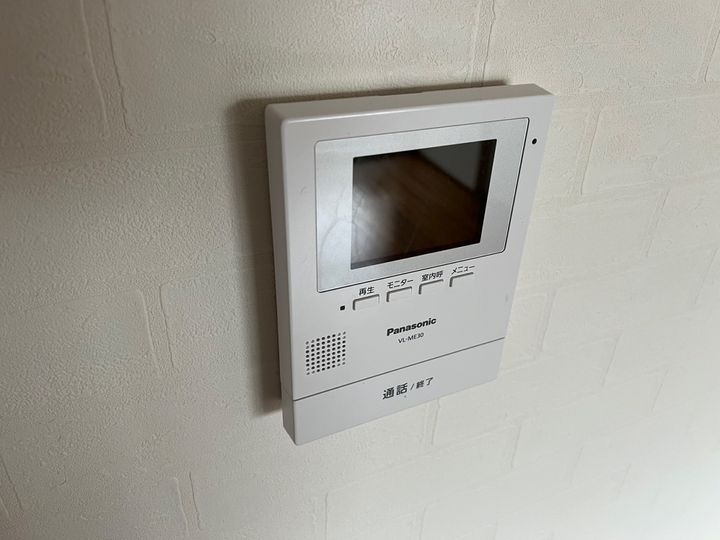 セントポーリアのその他画像