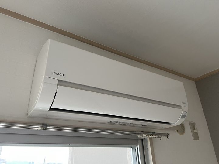 セントポーリアのその他画像