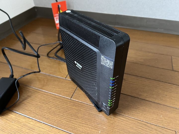 セントポーリアのその他画像