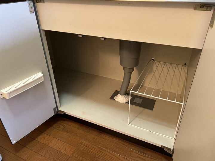 セントポーリアのその他画像