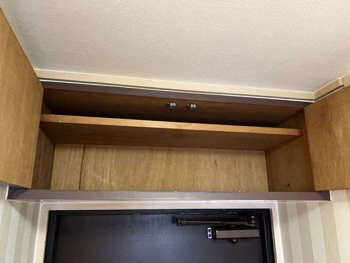 セントポーリアのその他画像