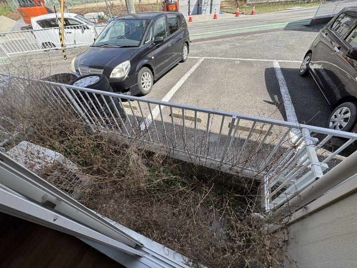 ヴィラ カメリアのその他画像