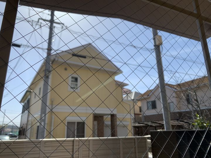 プリモローザMのその他画像