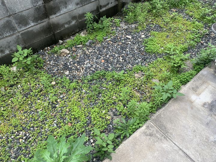 コスモガーデン英賀保202のその他画像