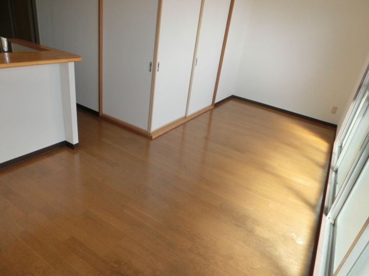 ファルネーゼ鵤102の居間