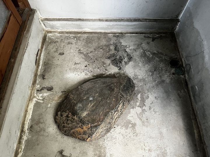 灘ハイツ203のその他画像