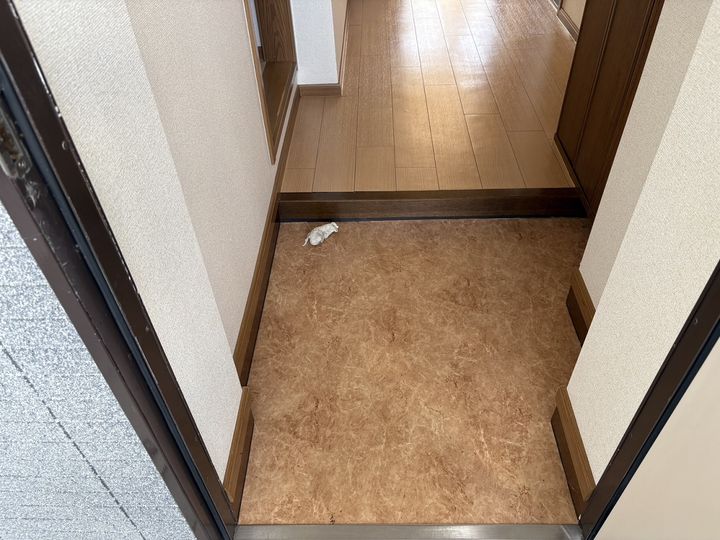 サンセールⅢの玄関