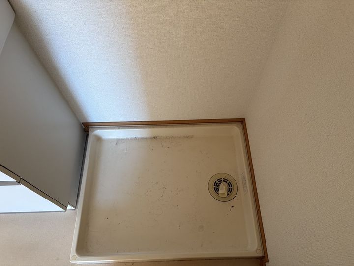 トリノ フルートAの内装