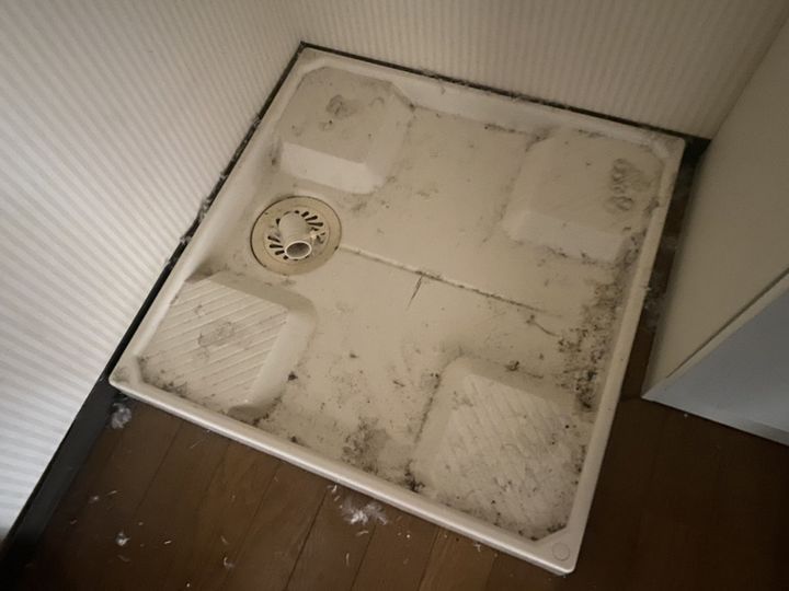 ベルフラワー山野井のその他画像