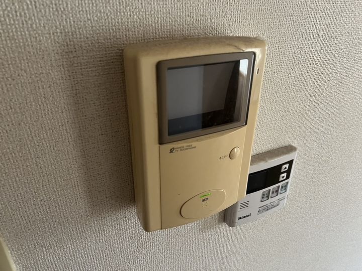 レインボーT.Sのその他画像