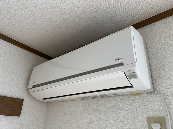 レインボーT.Sのその他画像