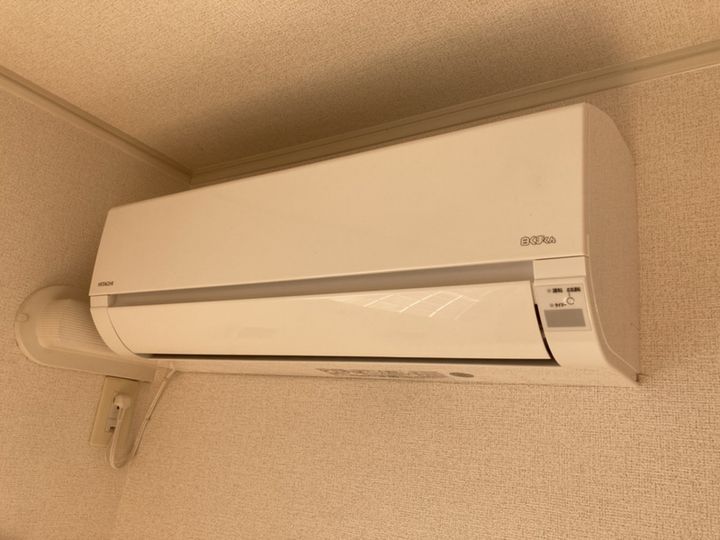 プラシード・Sのその他画像