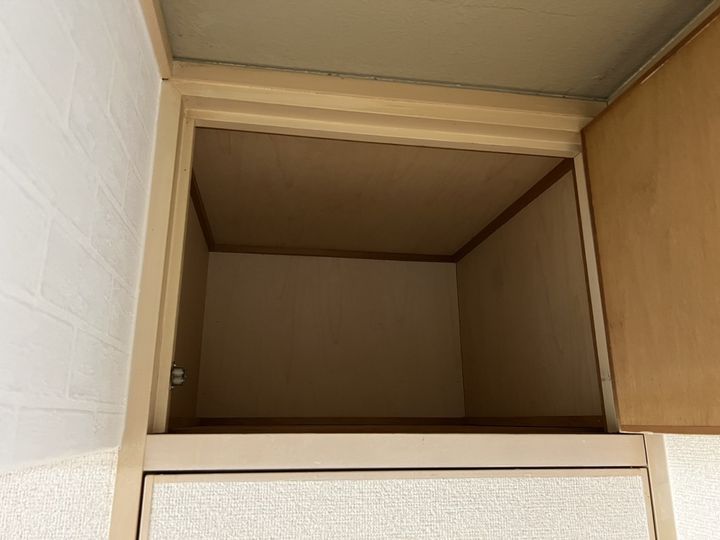 セントポーリアのその他画像