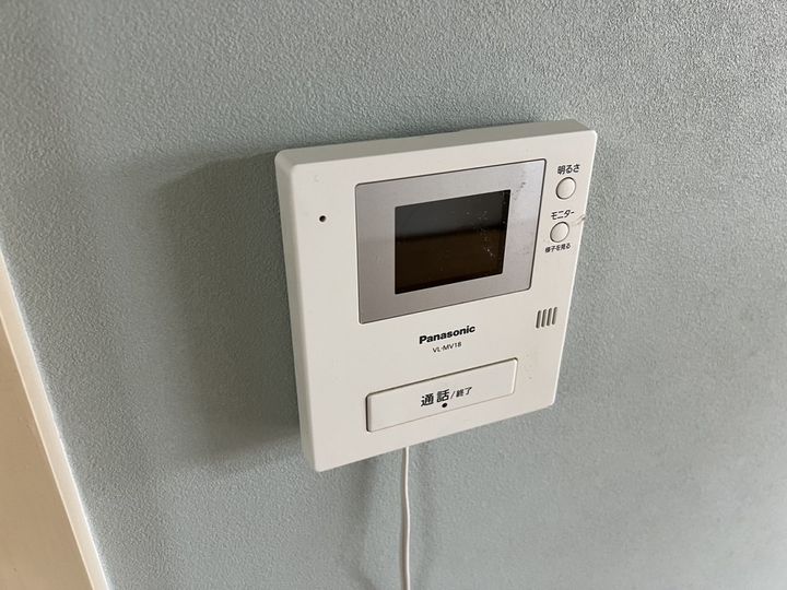 セントポーリアのその他画像