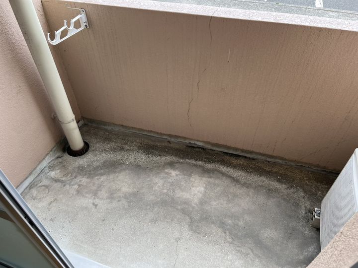 セントポーリアのその他画像