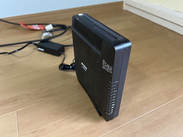 セントポーリアのその他画像