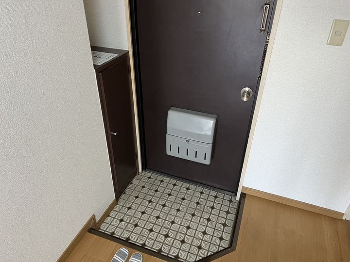 セントポーリアの玄関