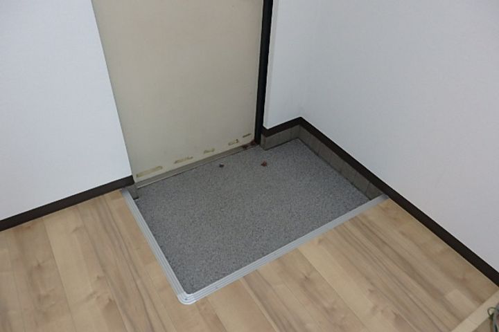 シャインコスモマンションの玄関