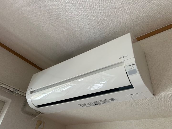 シンヴィオシスDのその他画像