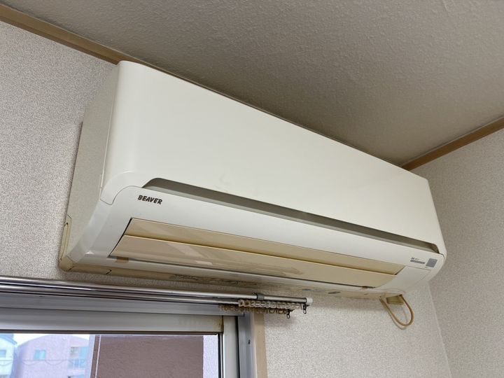 セントポーリアのその他画像