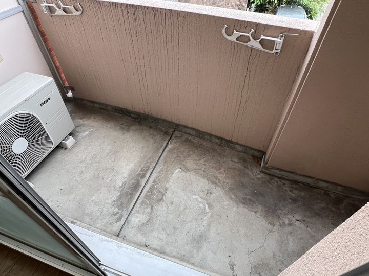 セントポーリアのその他画像