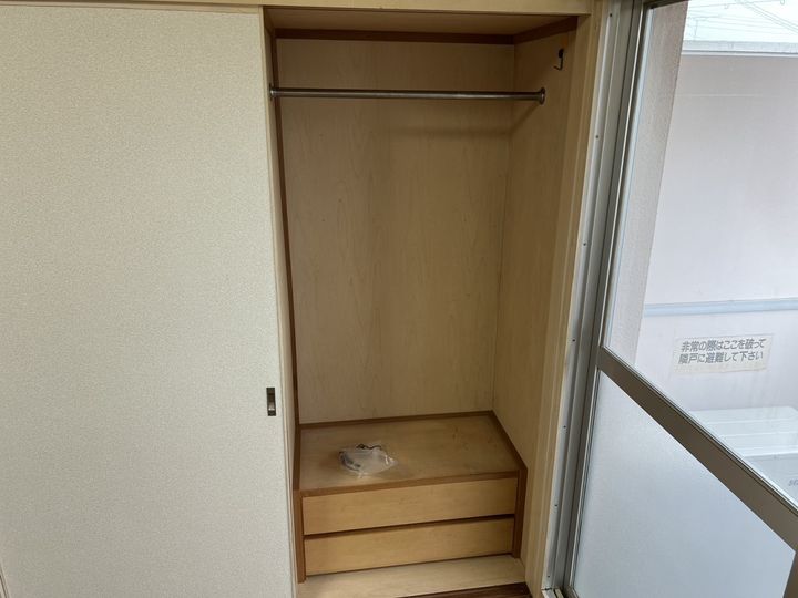 セントポーリアのその他画像