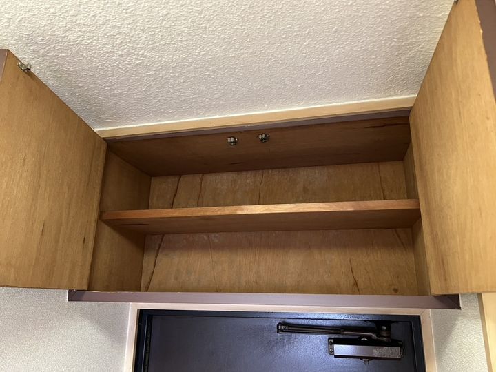 セントポーリアのその他画像