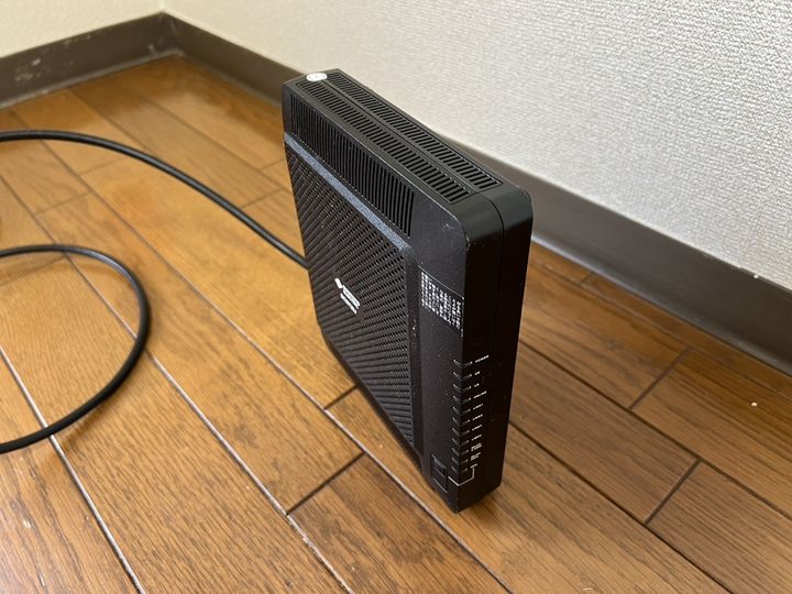 セントポーリアのその他画像